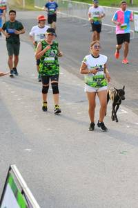 BIB: 
                            <button type="button" onclick="openModal(3534214)" class="btn btn-primary btn-sm float-right btn-popup" data-toggle="modal" data-target=".modal-high-quality">
                        <i class="fas fa-shopping-cart"></i> Add to Cart
                    </button>
                                            <button type="button" onclick="isThisMe(3534214, true)" class="btn btn-success btn-sm float-right btn-popup btn-isme hidden" data-toggle="tooltip" data-placement="bottom" title="นี่คือรูปของคุณใช่ไหม คลิกที่นี่เพื่อเอาเข้าอัลบั้ม">
                        <i class="fas fa-plus"></i> Add to album
                    </button>
                    <button type="button" onclick="isThisMe(3534214, false)" class="btn btn-warning btn-sm float-right btn-popup btn-isnotme hidden">
                        <i class="fas fa-ban"></i> Remove from album
                    </button>